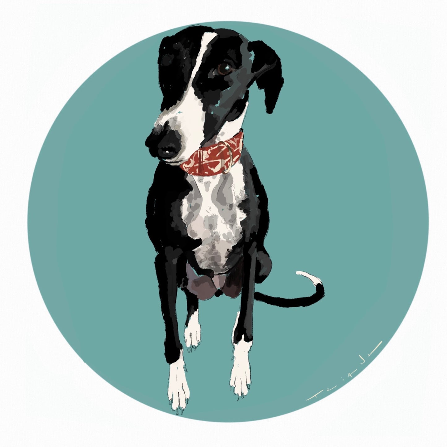 ILUSTRACION PELUDOS