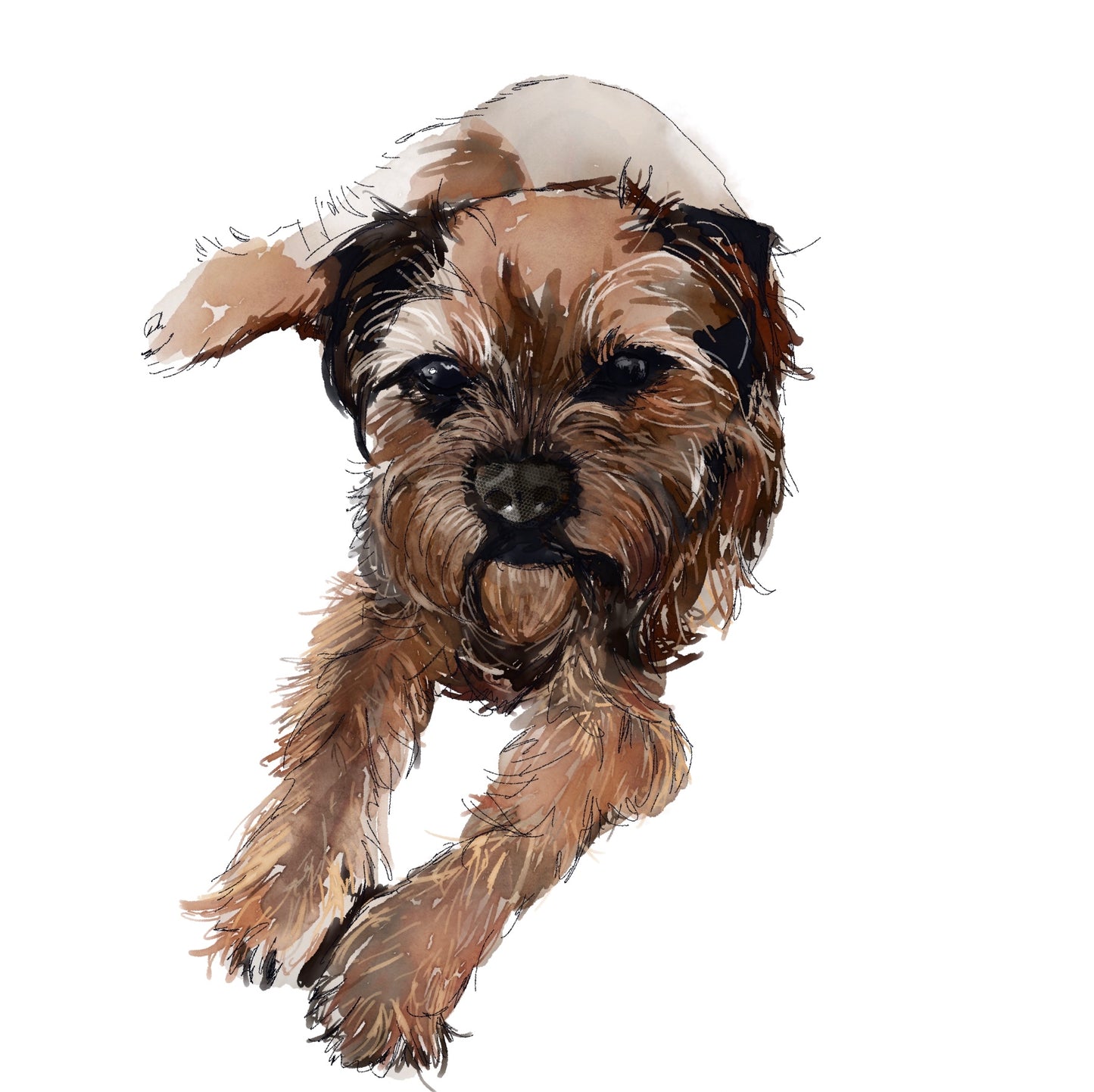 ILUSTRACION PELUDOS