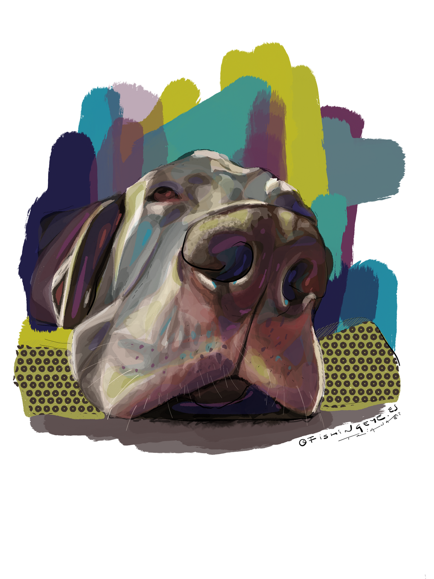 ILUSTRACION PELUDOS