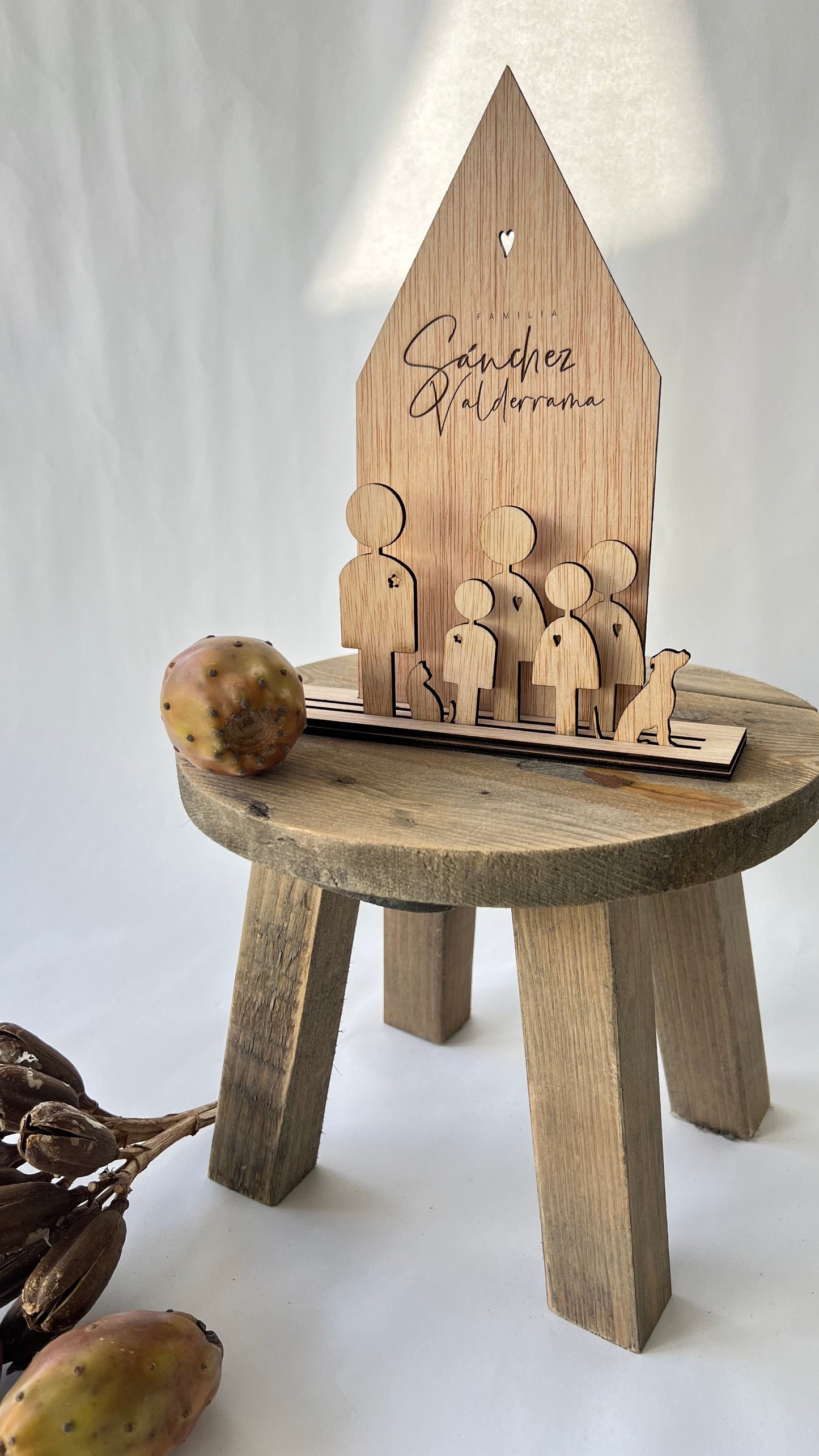 CASITA DE FAMILIA