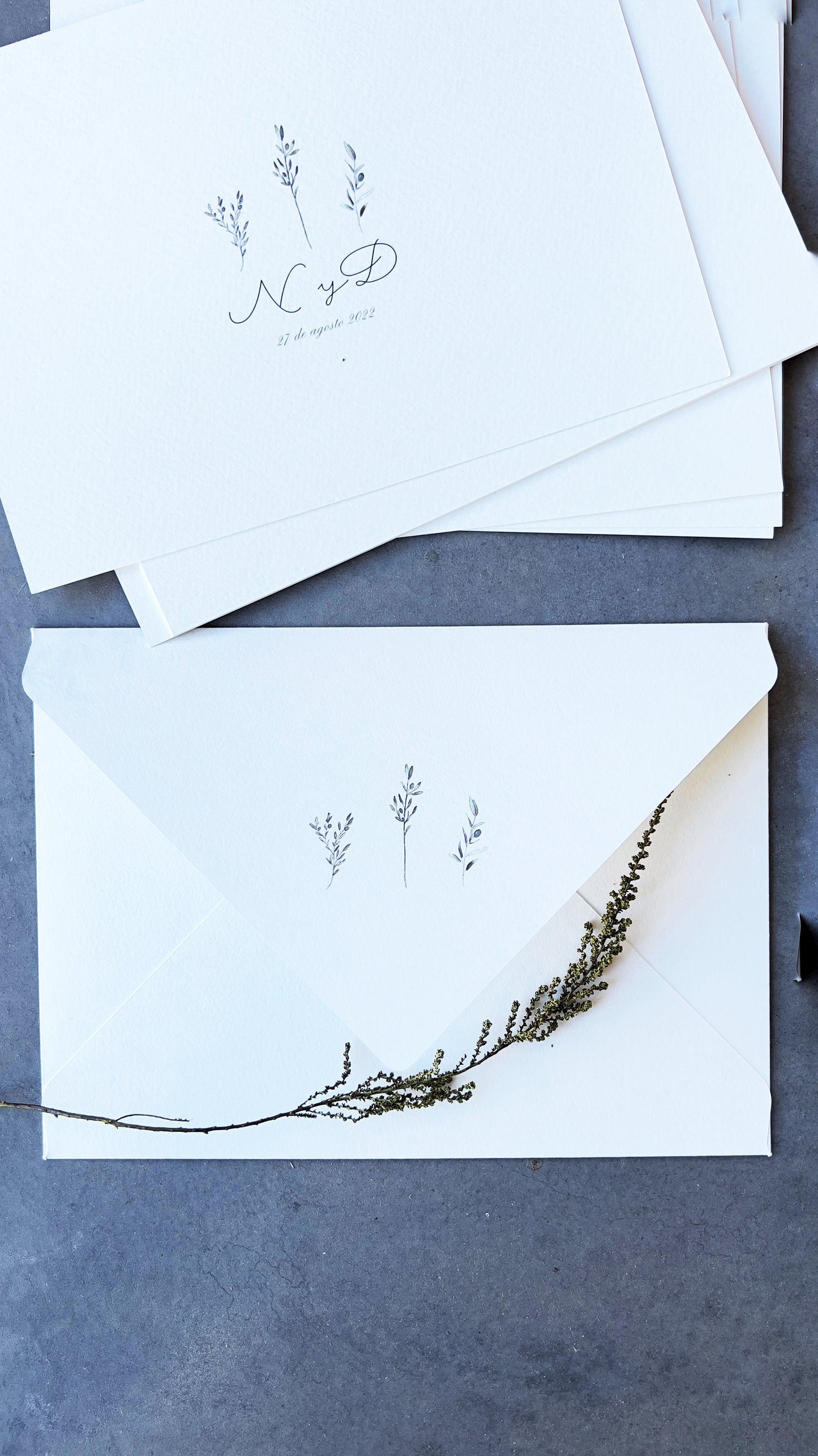 FLORAL OLIVOS Y CRASPEDIA