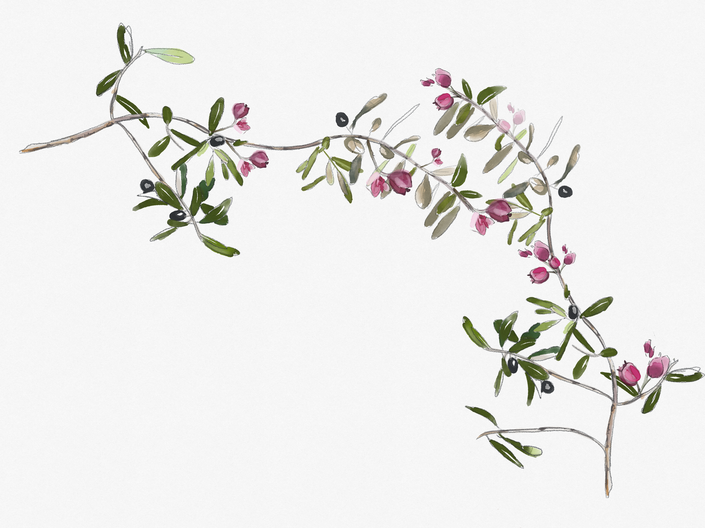 ILUSTRACION DIGITAL FLORES