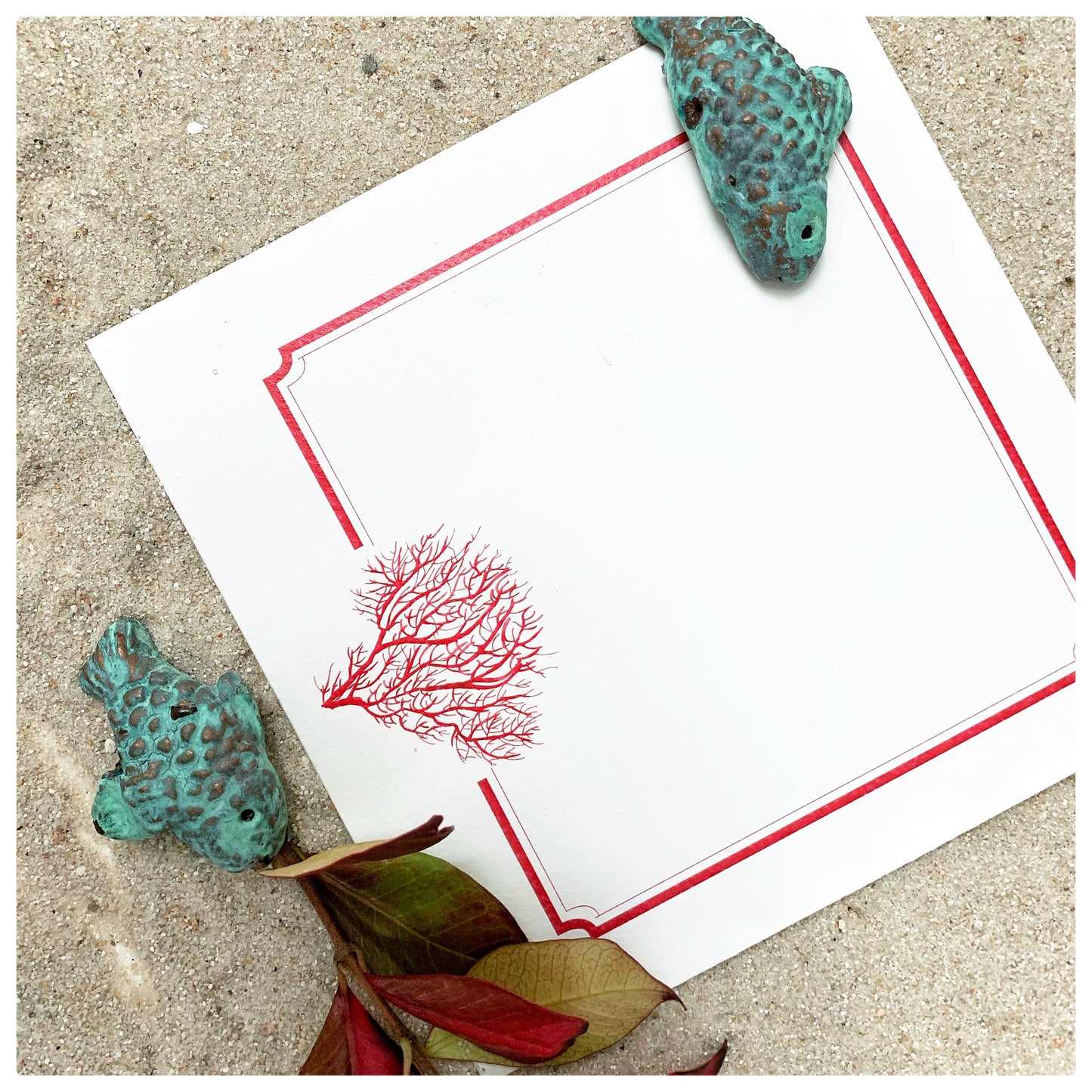 CORAL DE MIL COLORES