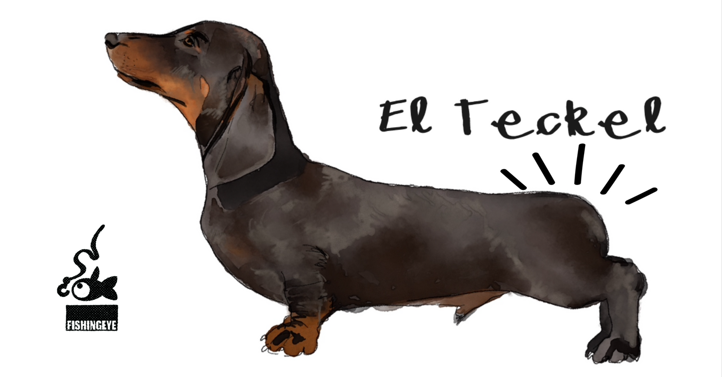 ILUSTRACION PELUDOS
