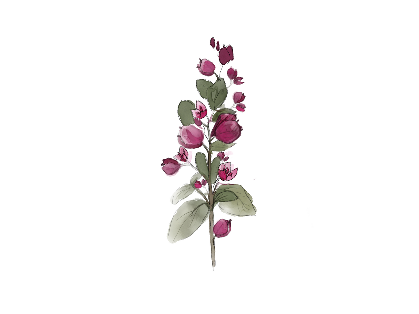 ILUSTRACION DIGITAL FLORES