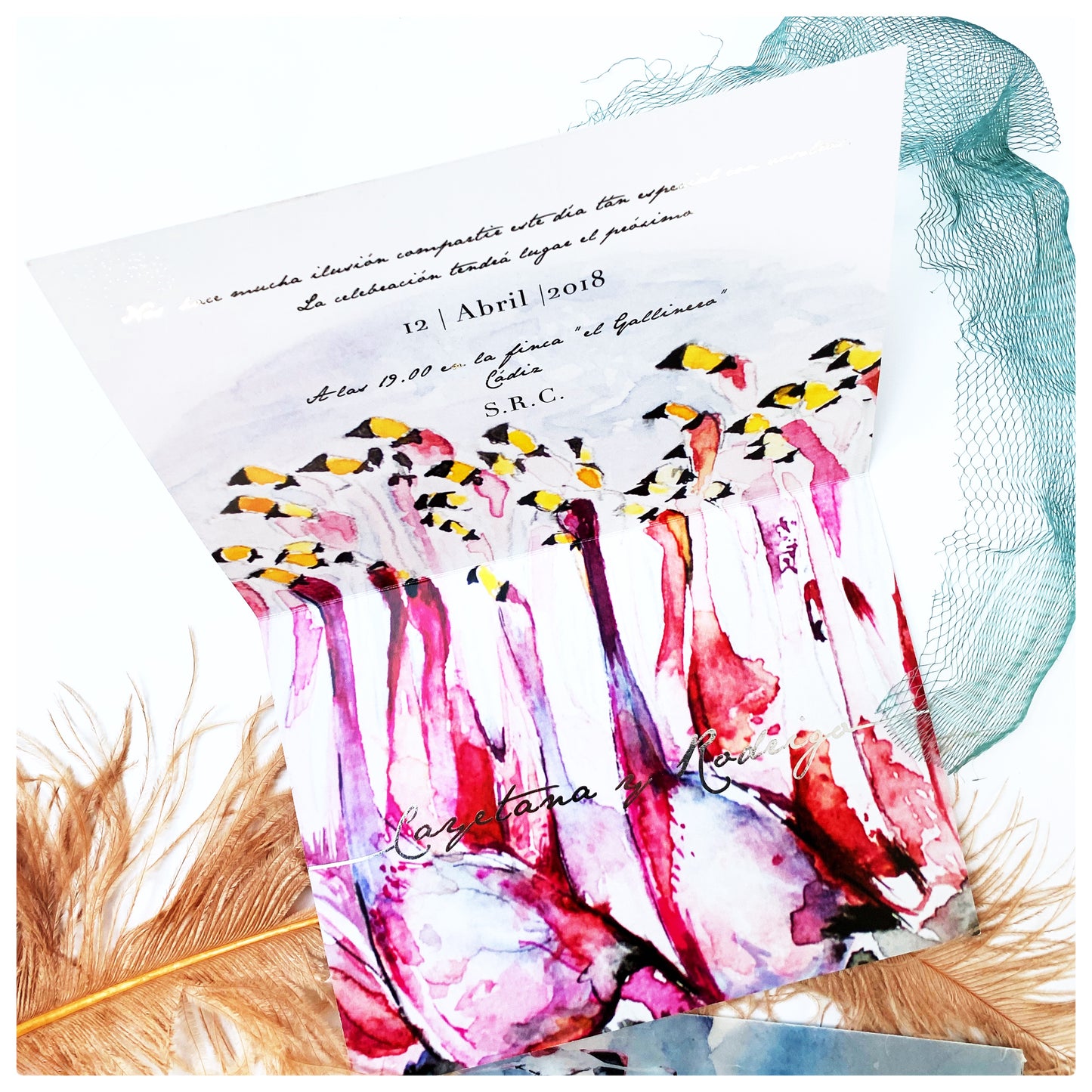 INVITACIÓN COLECCIÓN FLAMENCOS
