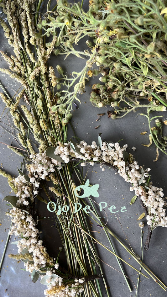 MEDIA CORONA PANICULATA, EUCALIPTO Y ESPIGA