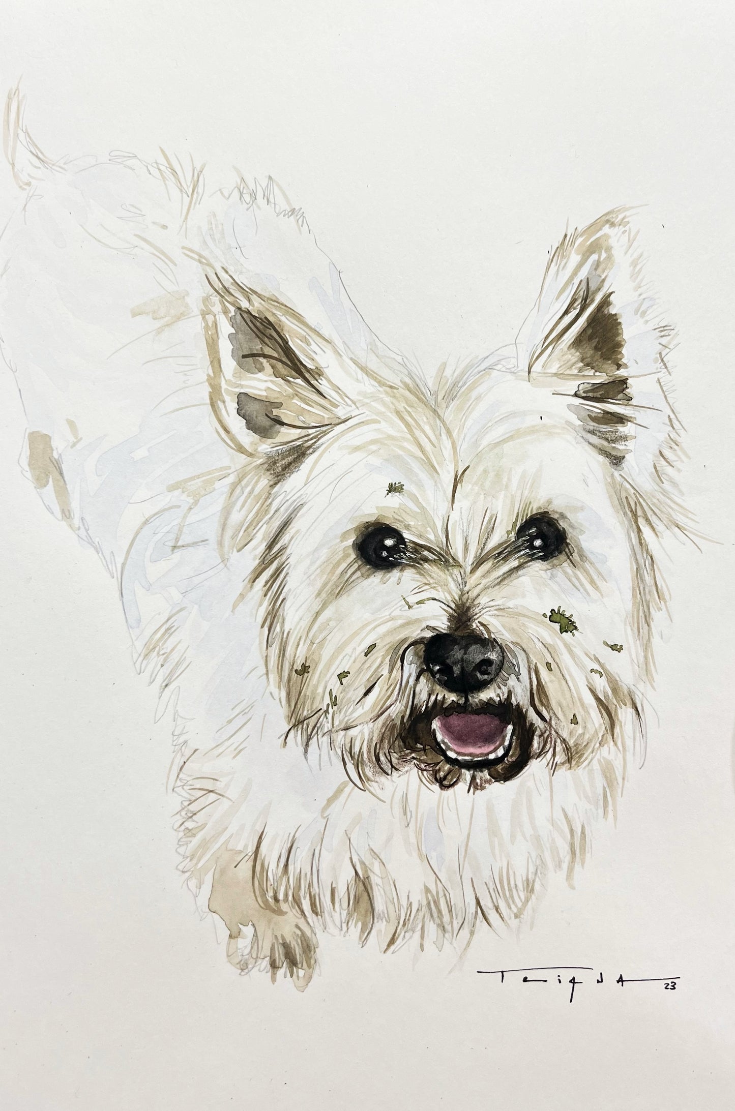 ACUARELA PELUDOS A4