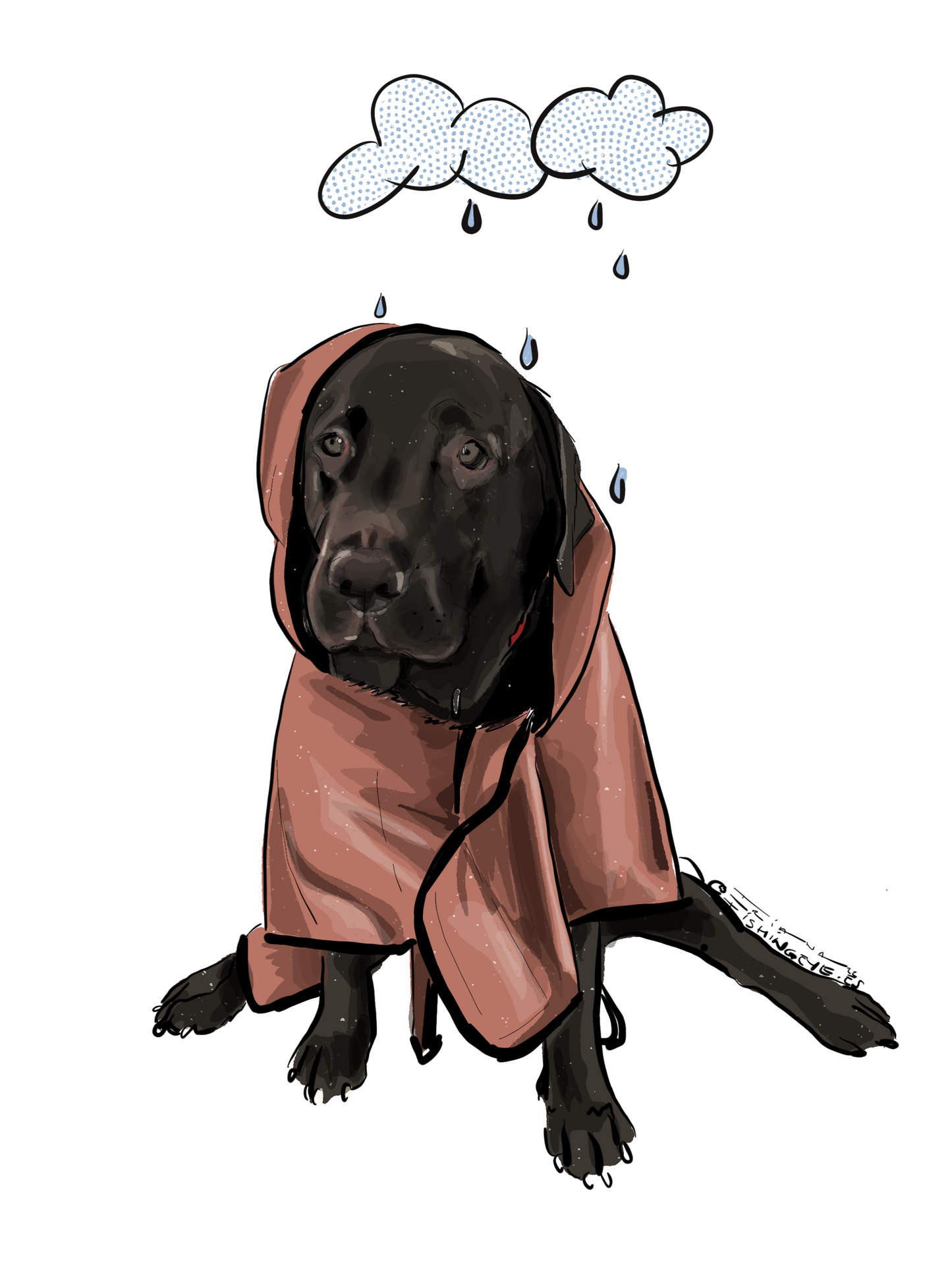 ILUSTRACION PELUDOS