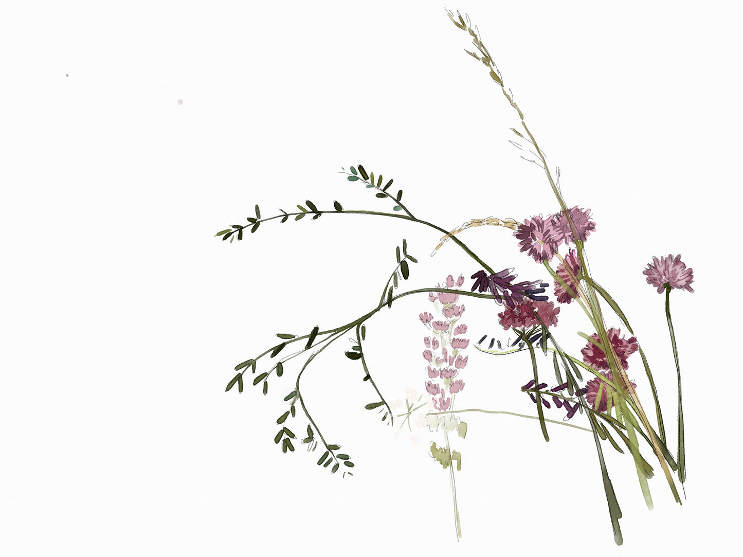 ILUSTRACION DIGITAL FLORES