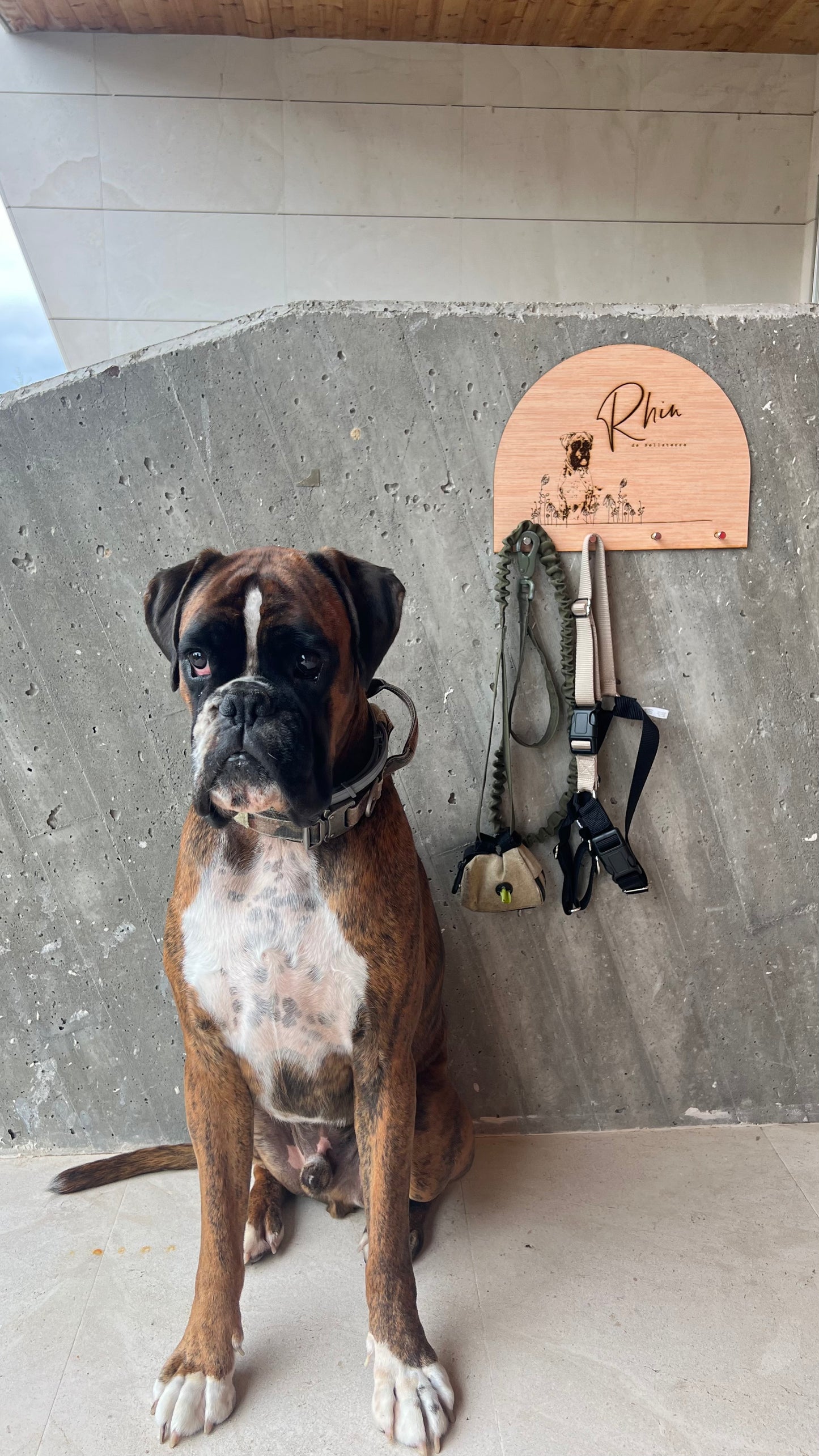 PERCHITA PARA CORREAS PELUDOS