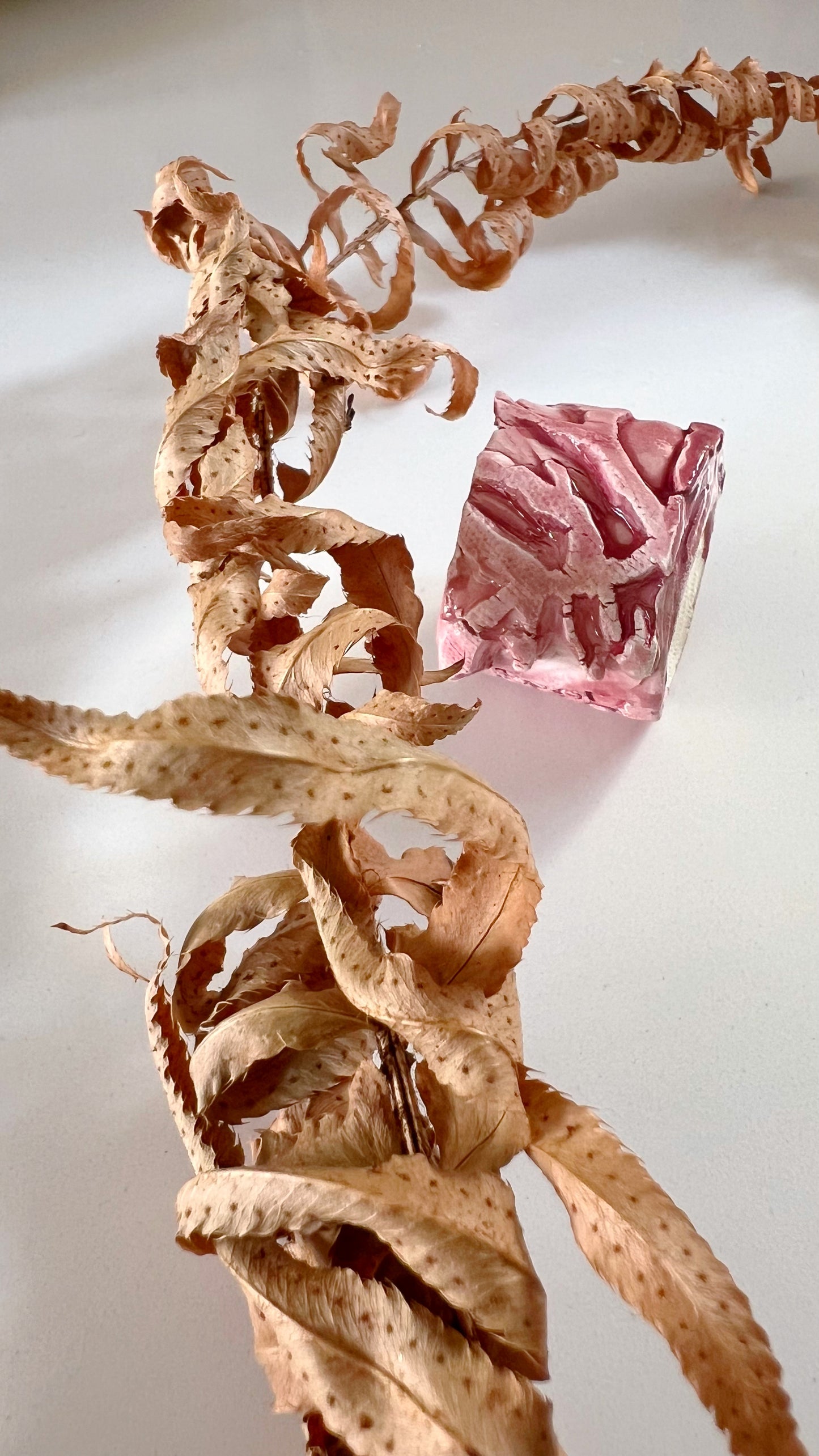 ANILLO CERÁMICA “CORAL”