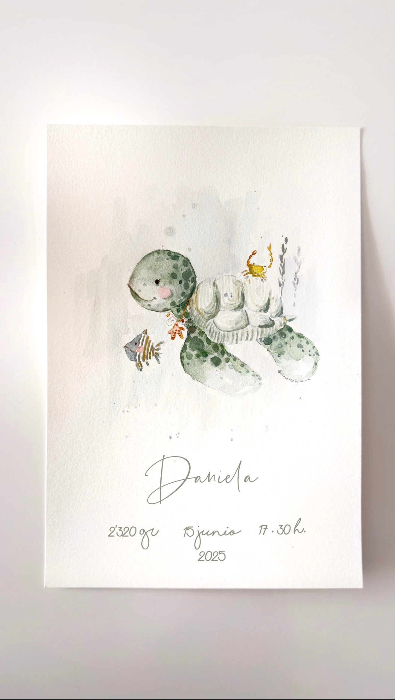 LAMINA O PINTADA A PINCEL NATALICIO  TORTUGUITA PERSONALIZADA